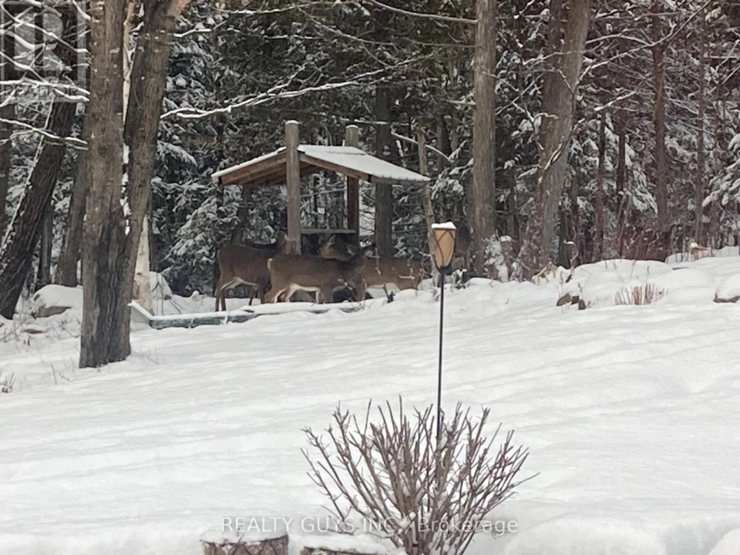 891 COUNTY ROAD, Trent Lakes