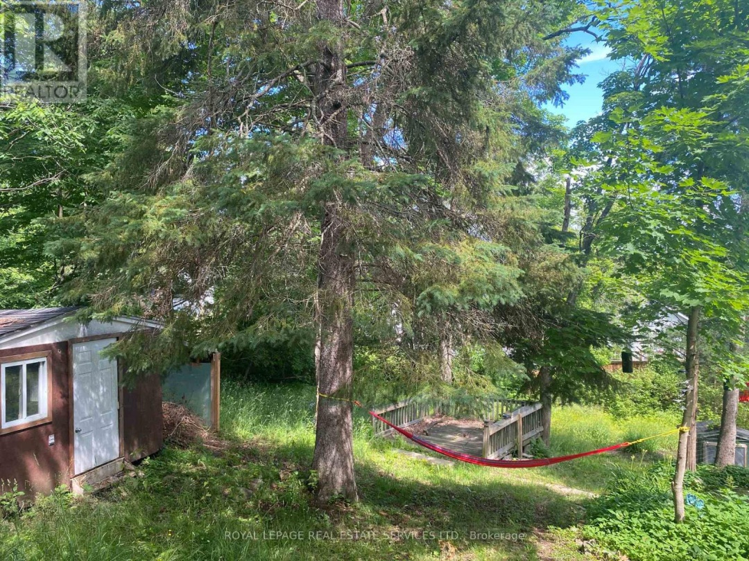 16 CORA STREET E, Huntsville (Chaffey)