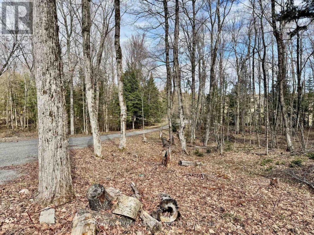 2388 DOE LAKE ROAD, Gravenhurst (Ryde)