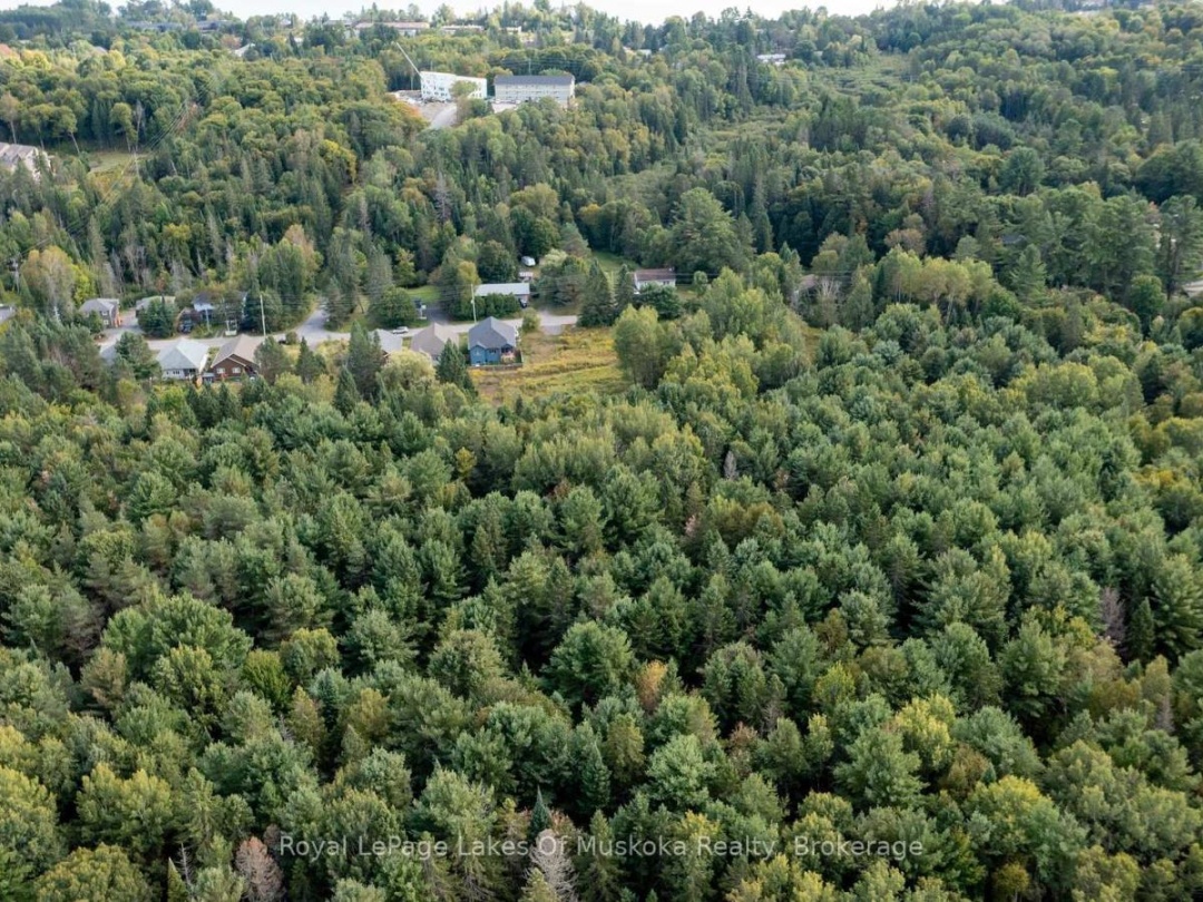 100 CHAFFEY TOWNSHIP ROAD, 
