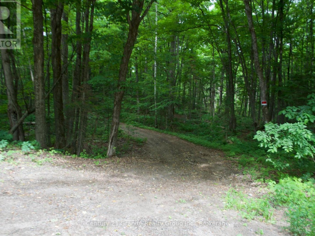 LOT 10 LOON LAKE ROAD S, Loon Lake