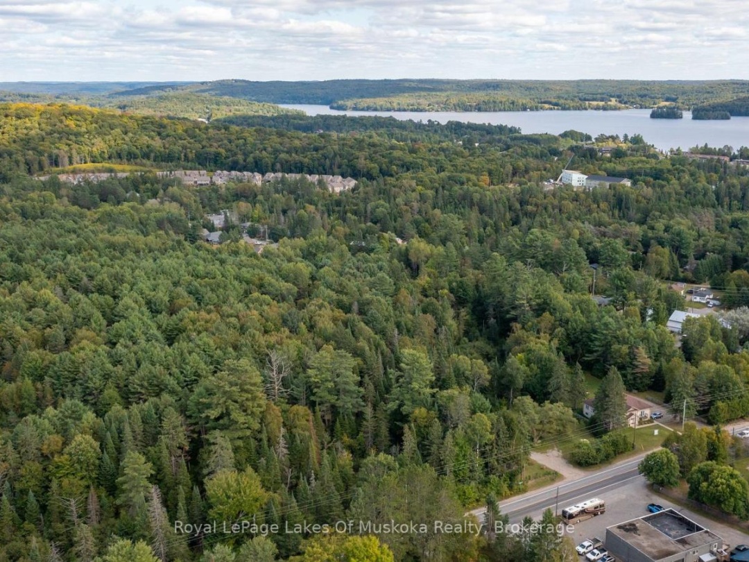 100 CHAFFEY TOWNSHIP ROAD, 
