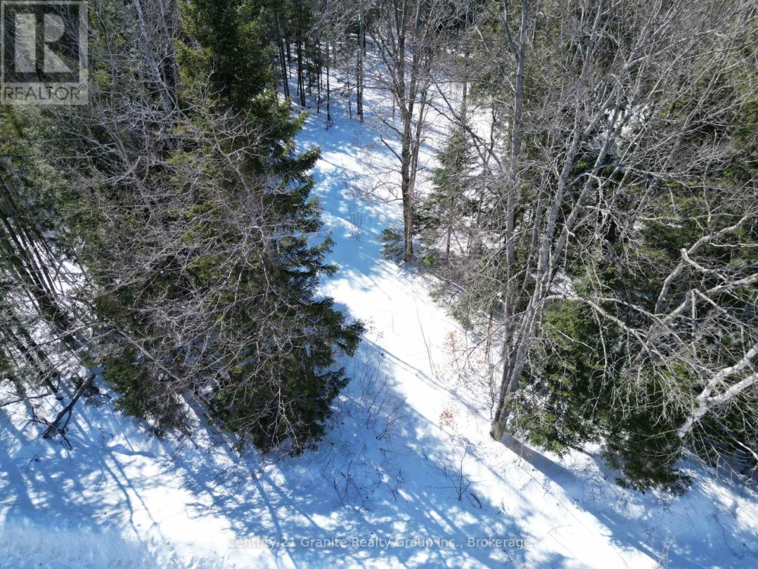 0 INDIAN POINT ROAD, Dysart et al (Dudley)