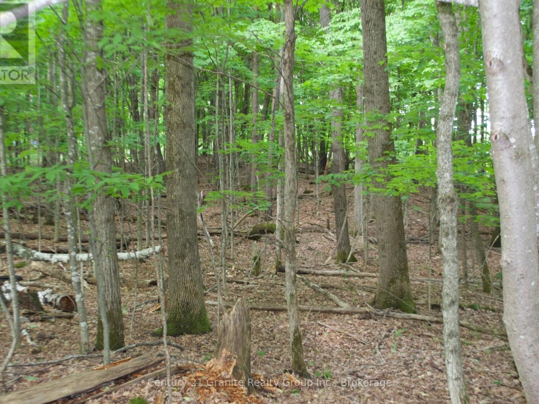 LOT 7 RIDGEVIEW ROAD, 