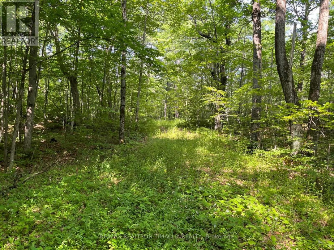 243 PRISQUE ROAD, Georgian Bay