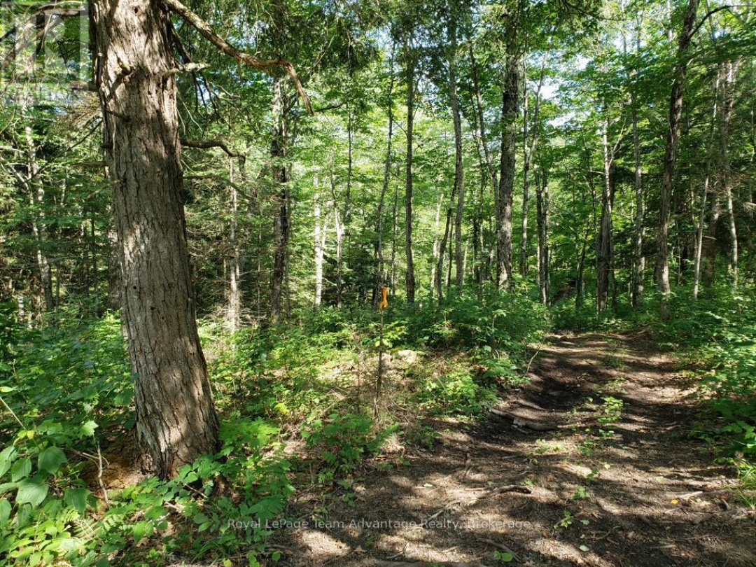 0 UNOPENED ROAD ALLOWANCE ROAD, McKellar