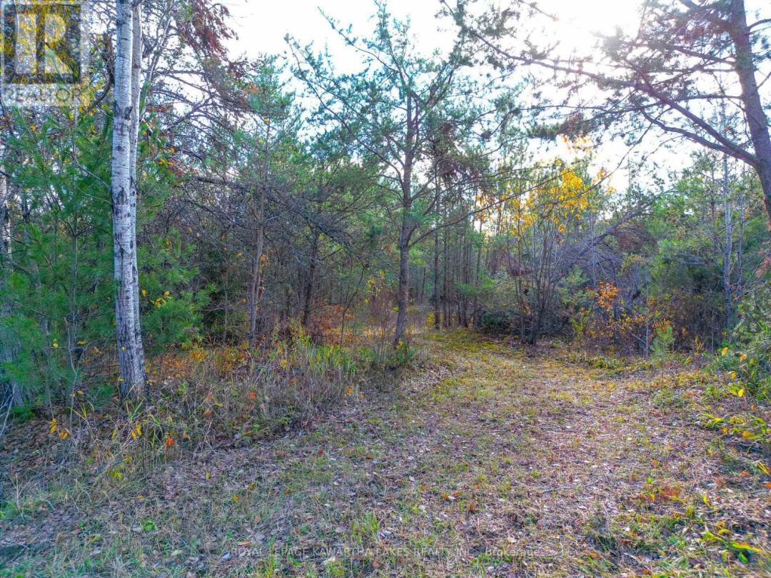 LT 36 HODGSON DRIVE, Kawartha Lakes (Somerville)