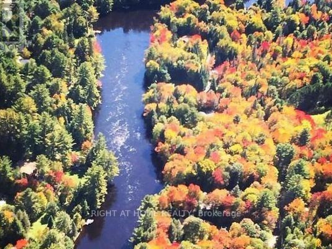 1019 FORRESTER TRAIL, Muskoka River