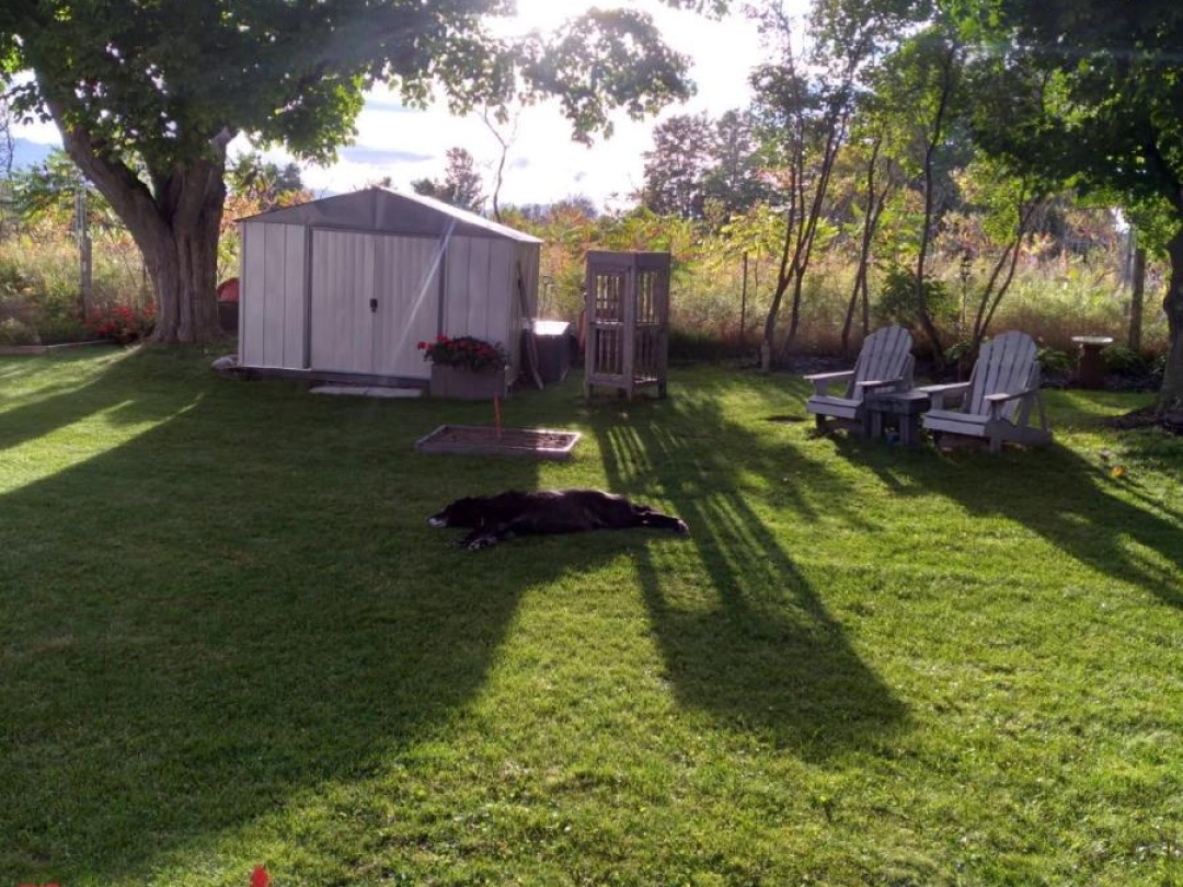 235 GEORGE DRIVE, Kawartha Lakes (Emily)