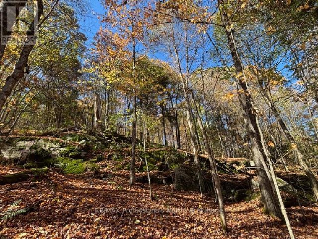 1231 BIG HAWK LAKE ROAD, Algonquin Highlands (Stanhope)
