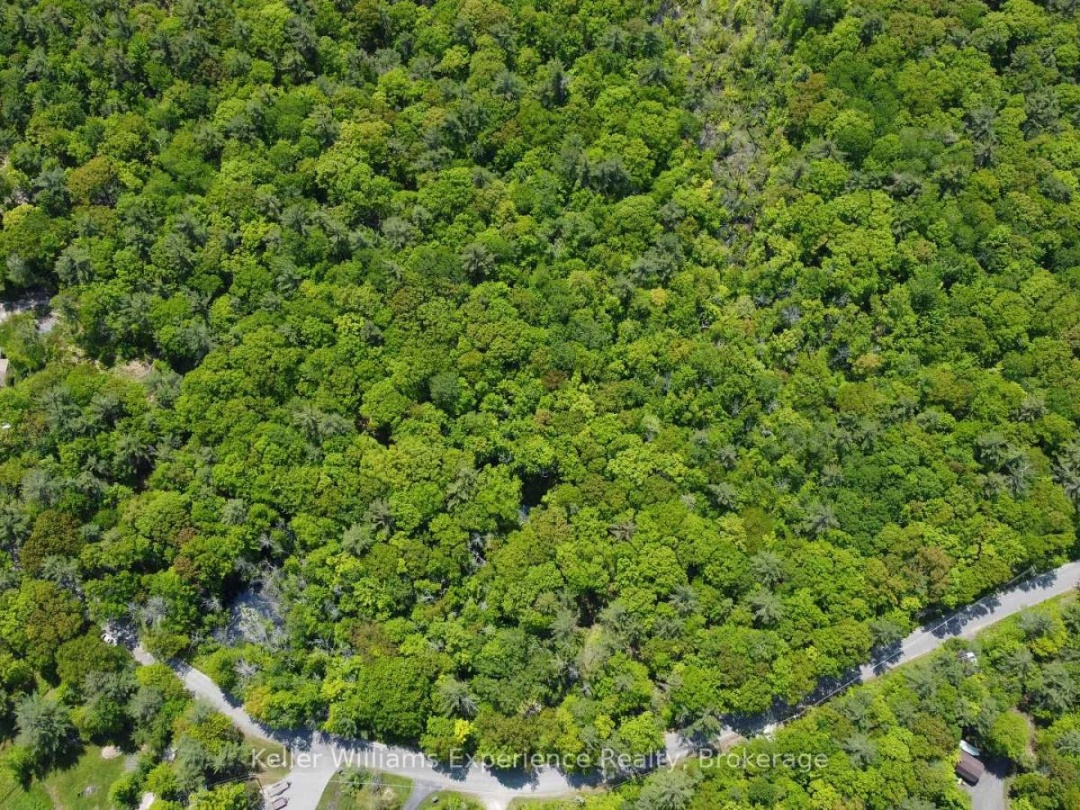162 BONNEVILLE ROAD, Georgian Bay (Baxter)