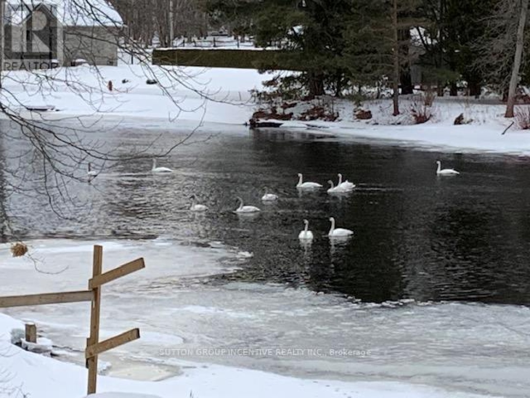 4600 TRENT TRAIL, Severn River