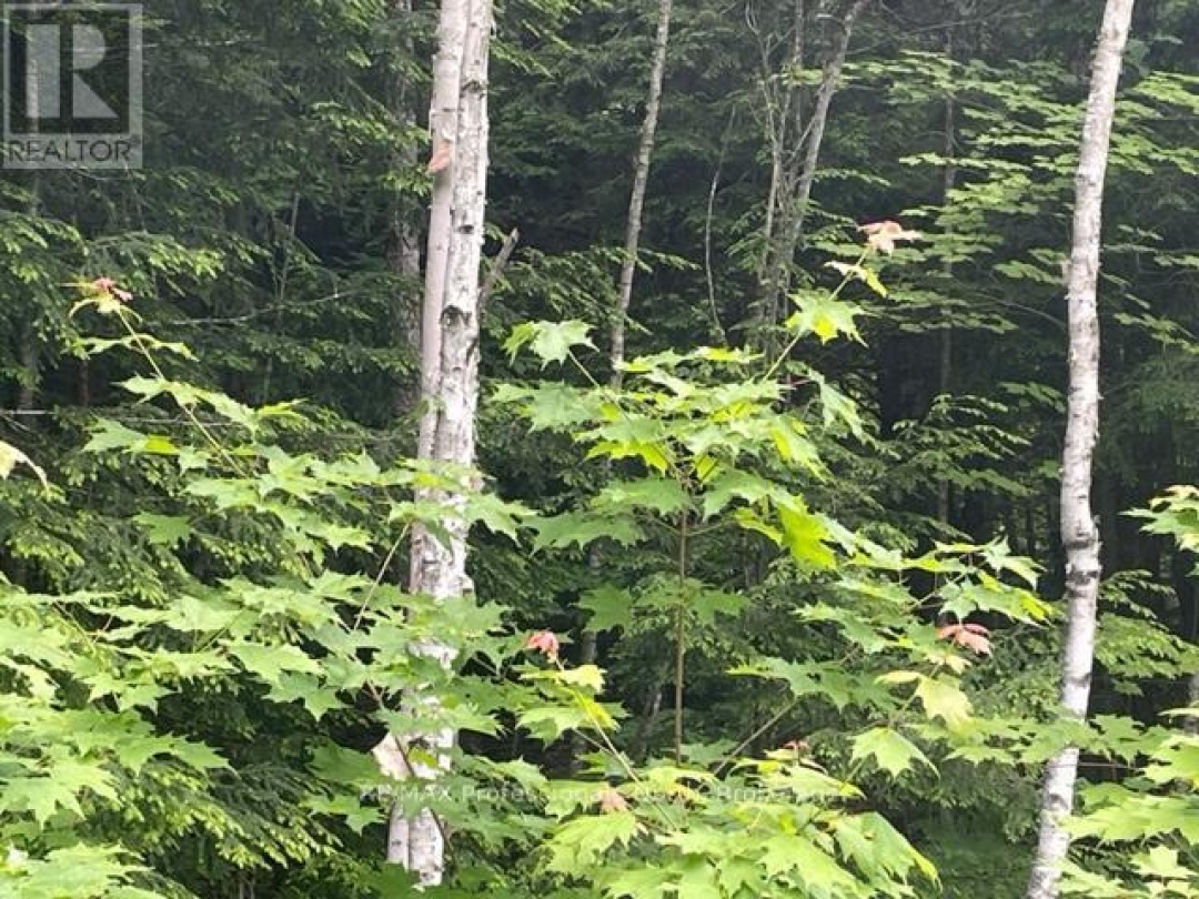 0 BIG HAWK LAKE ROAD, Algonquin Highlands (Stanhope)