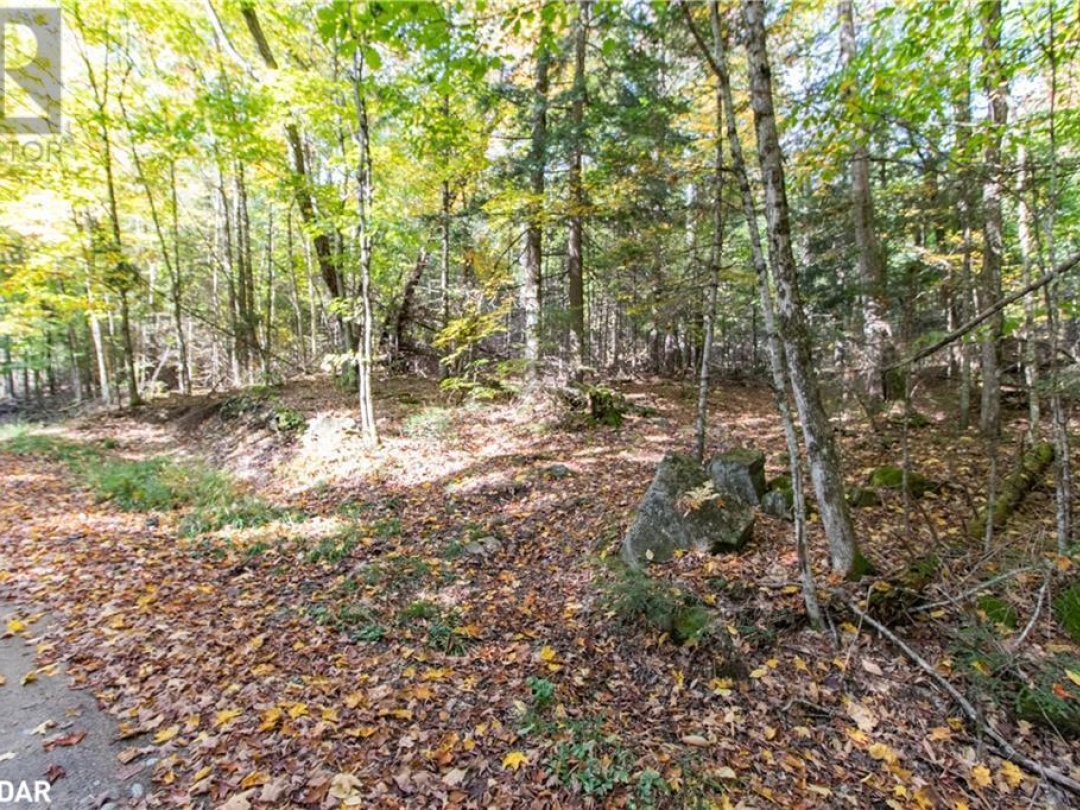 0 LYNX LAKE Road, 