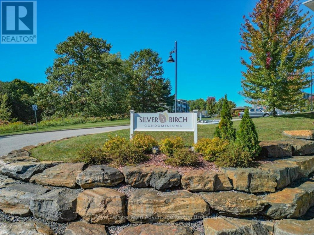 203 - 20A SILVER BIRCH COURT,