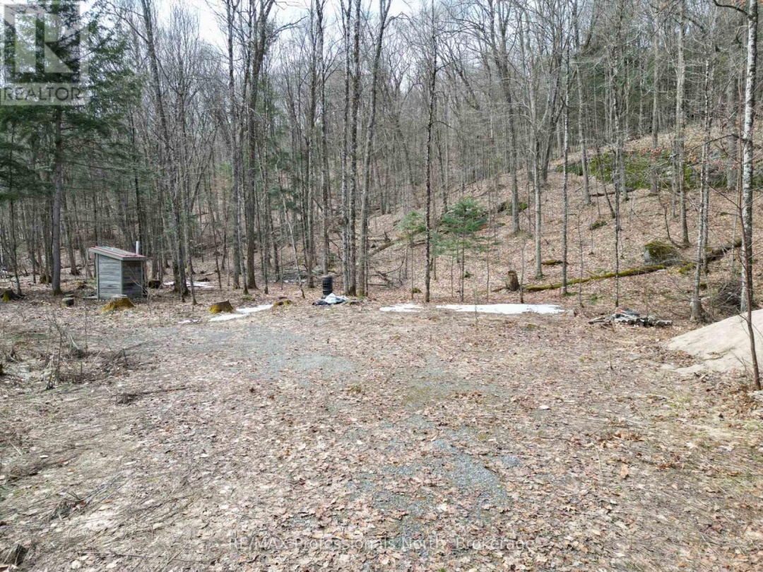 1231 BIG HAWK LAKE ROAD, Algonquin Highlands (Stanhope)
