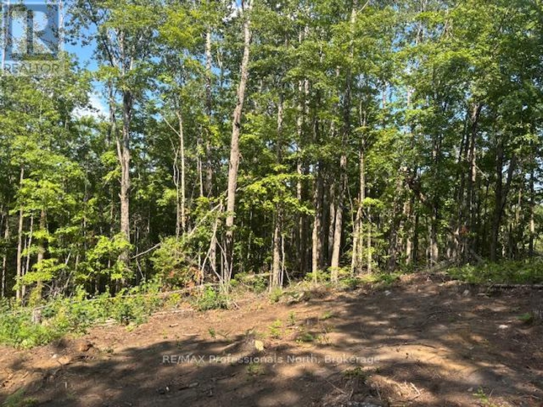 2816 GELERT ROAD, 