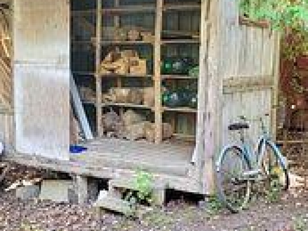 81 MCGUIRE BEACH ROAD, Trent-Severn Waterway