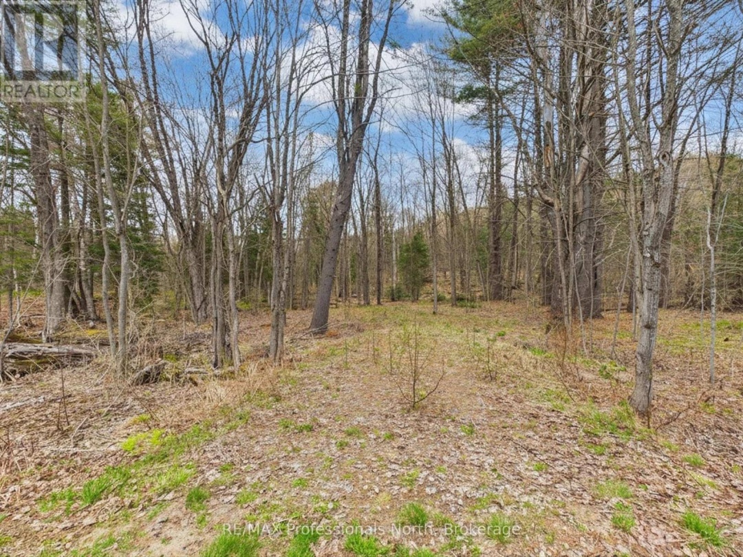 0 EAST WALKER LAKE DRIVE, Lake of Bays (Sinclair)