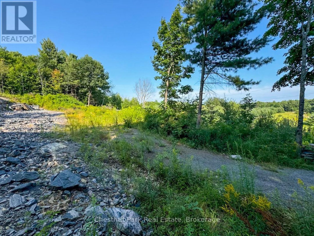 1681 MUSKOKA BEACH ROAD, 