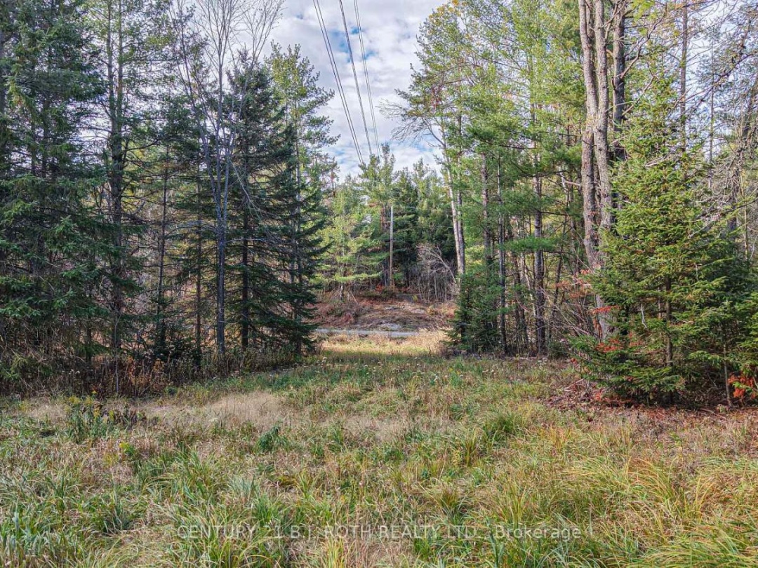 1036 HOPKINS ROAD, Gravenhurst (Ryde)