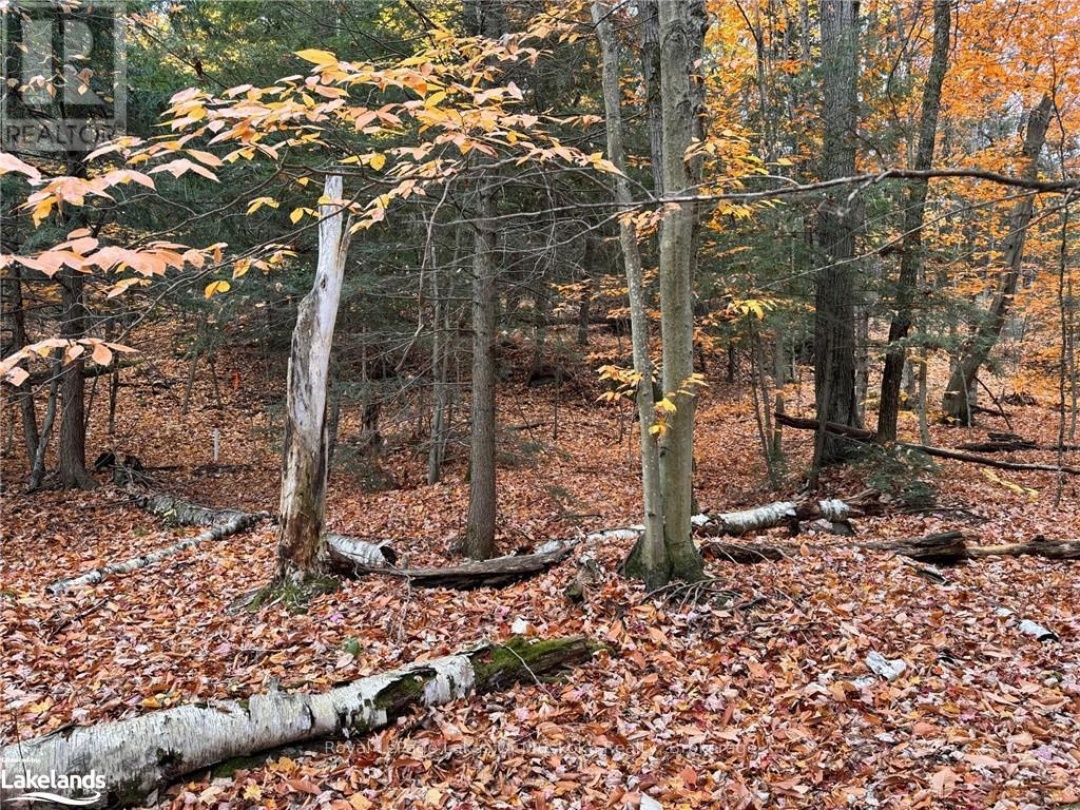 0 LATVIAN ROAD, Bracebridge (Draper)
