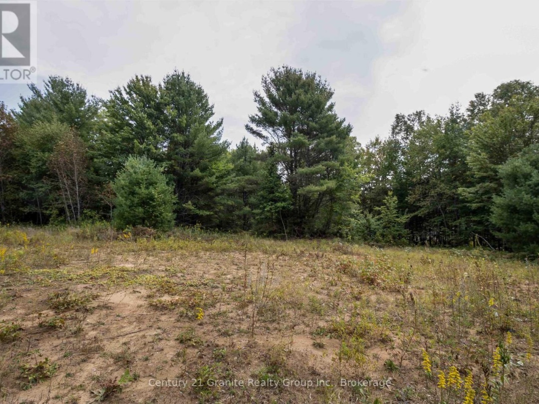 4729 COUNTY ROAD 121, Minden Hills (Lutterworth)