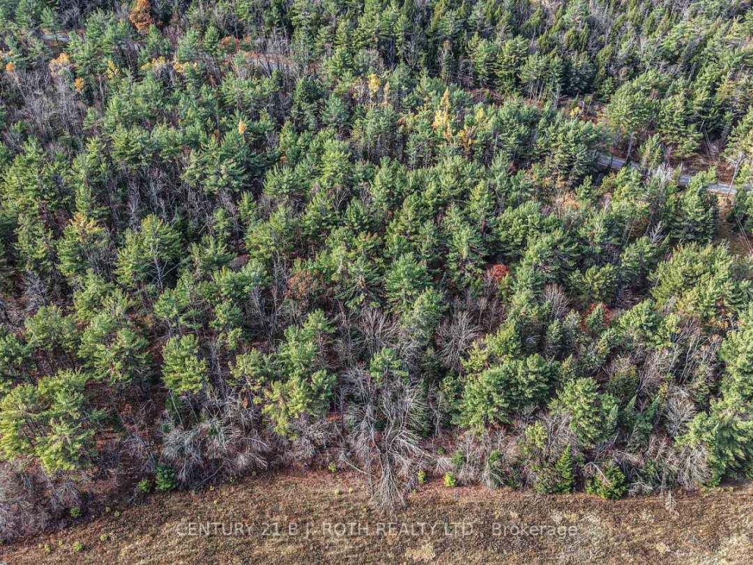1036 HOPKINS ROAD, Gravenhurst (Ryde)