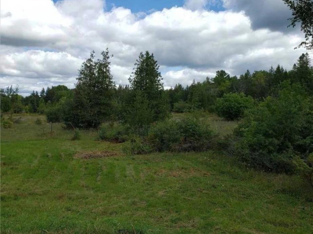 9 TALBOT RIVER ROAD, Kawartha Lakes (Carden)