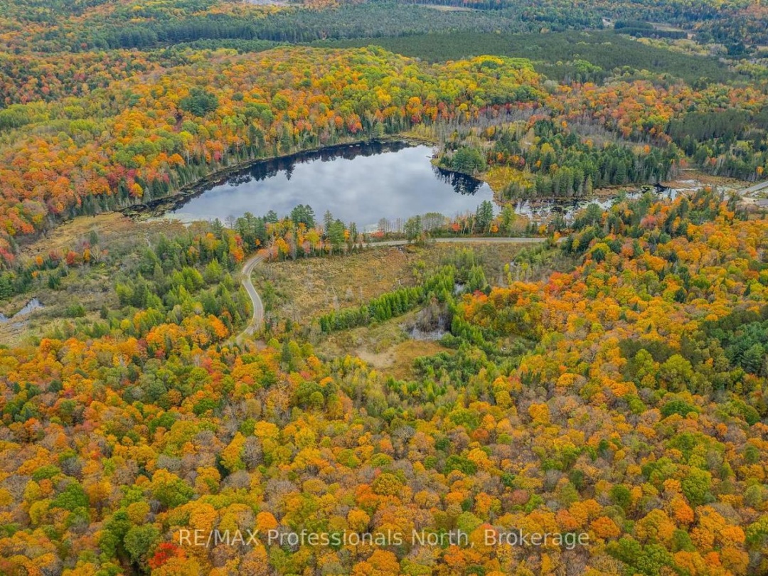 1600 BOBCAYGEON ROAD, Minden Hills (Minden)