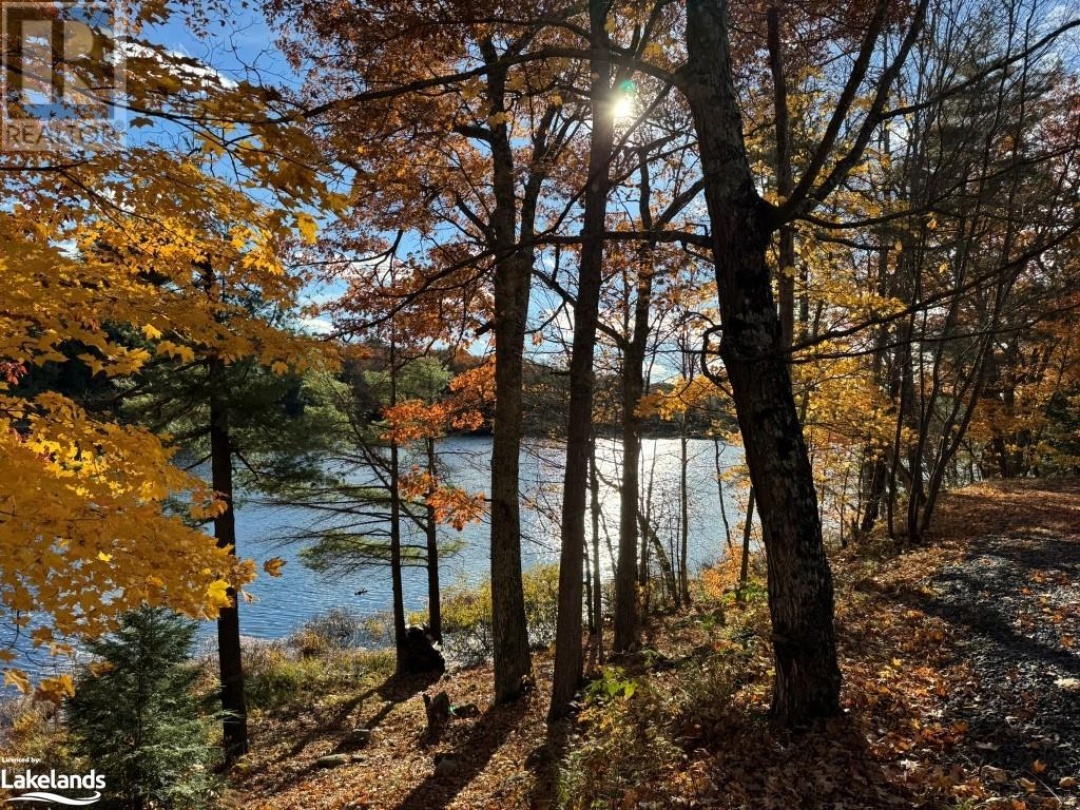 98 Route 66 Route, Murdock Lake