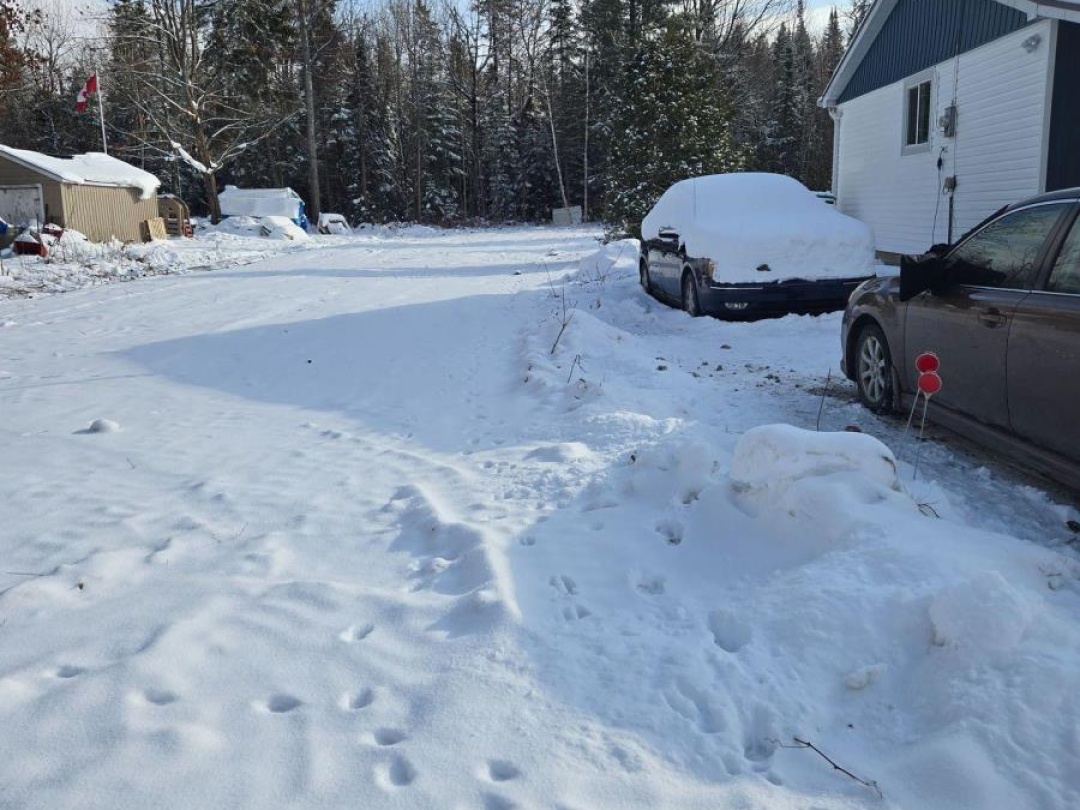 77 ANTIQUARY BEACH ROAD, 