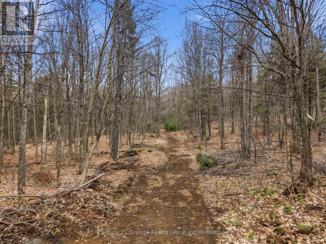 1314 HUNTER CREEK ROAD, Minden Hills (Lutterworth)
