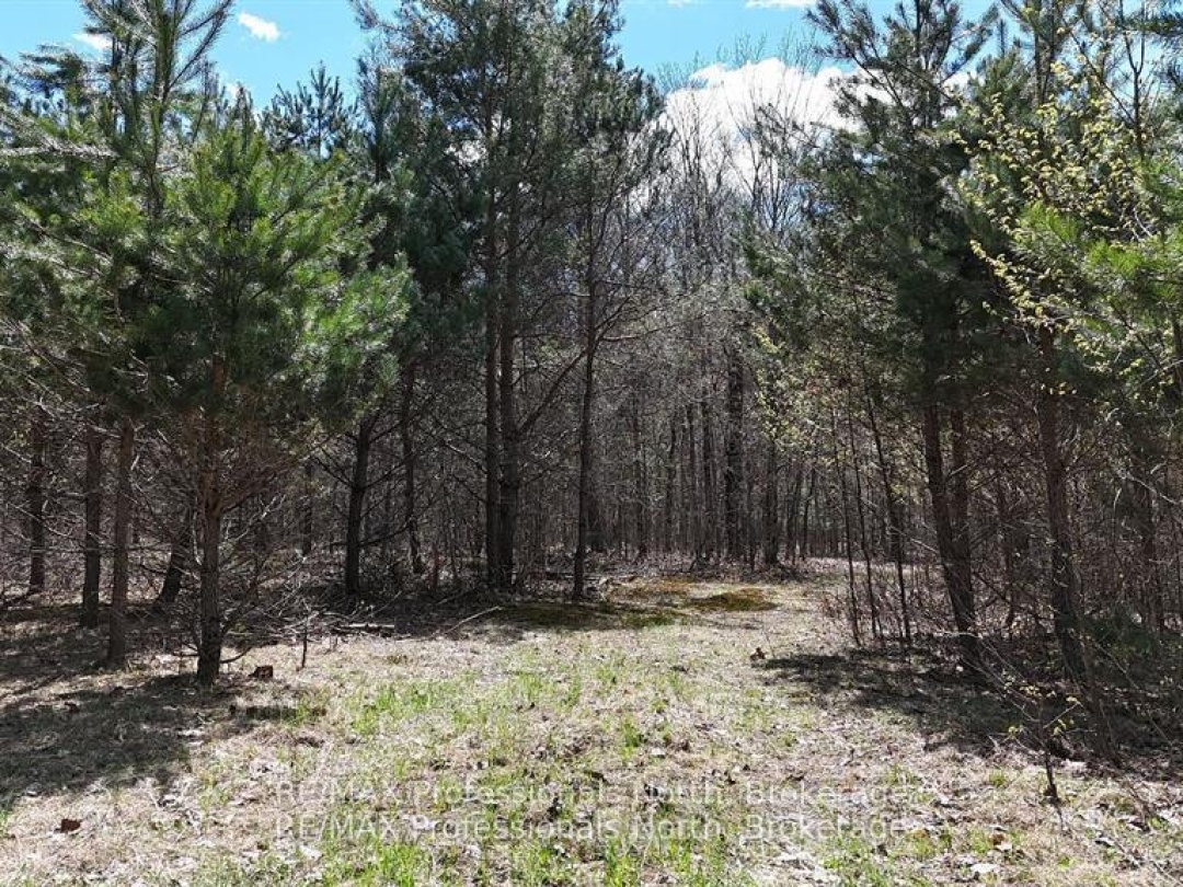 0 OSPREY ROAD, Minden Hills (Minden)