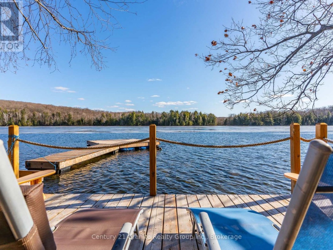 1133 SISU LANE, Long Lake