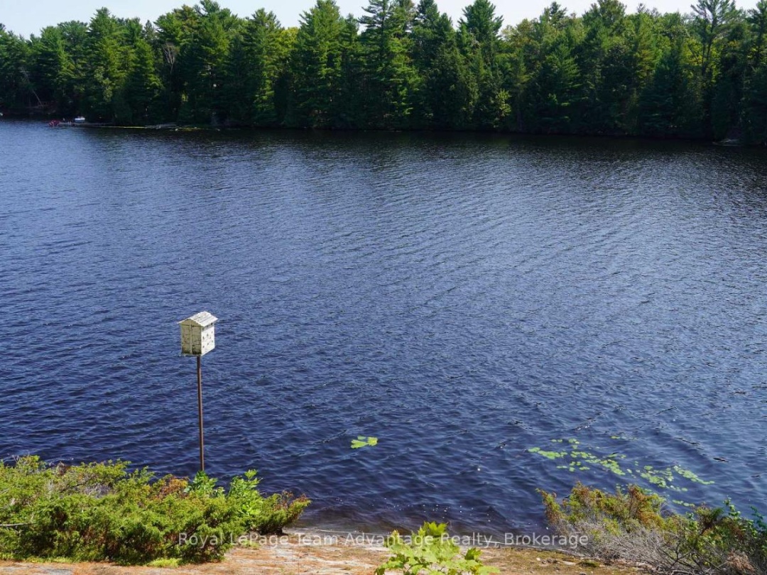 25 PENINSULA SHORE ROAD E, Harris Lake