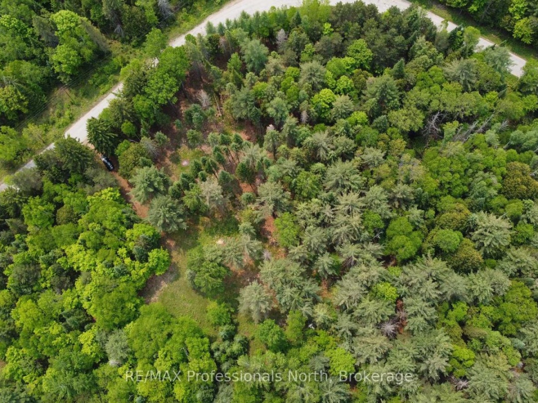 1897 BLAIRHAMPTON ROAD, Minden Hills (Minden)