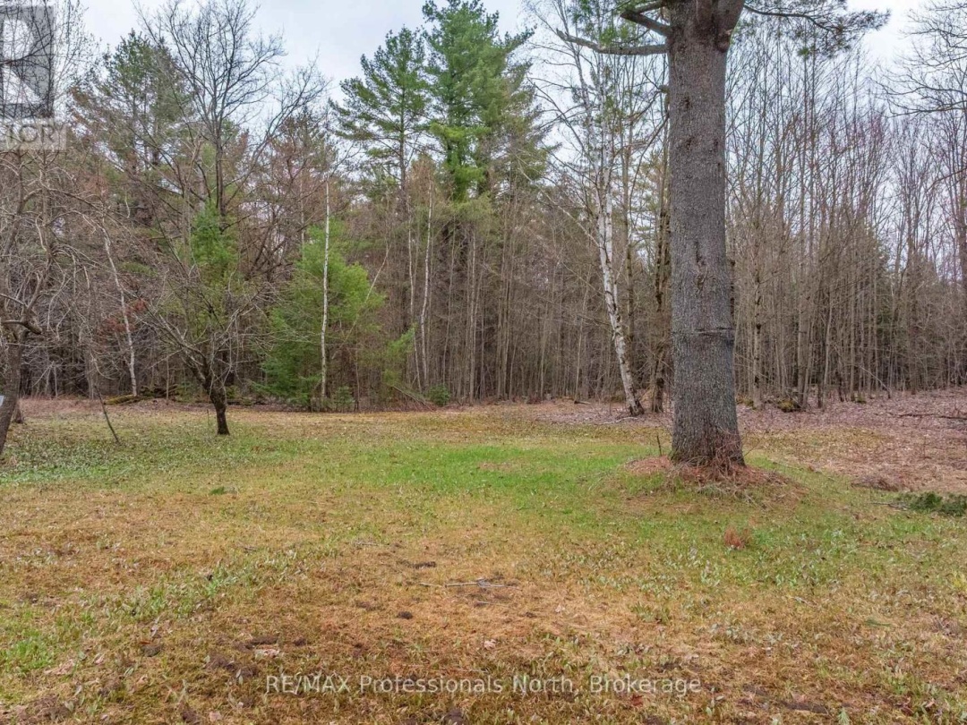 1056 KIRK LINE W, Bracebridge (Macaulay)