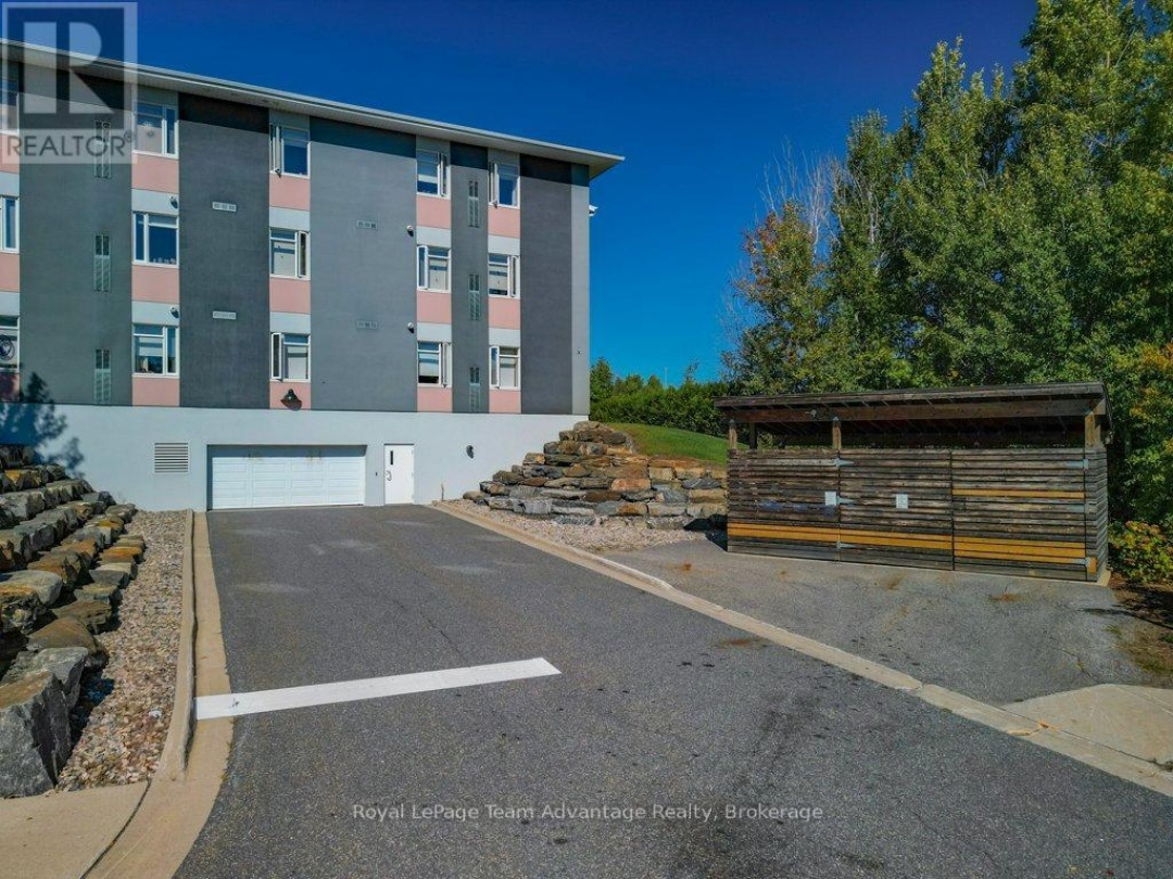 203 - 20A SILVER BIRCH COURT,