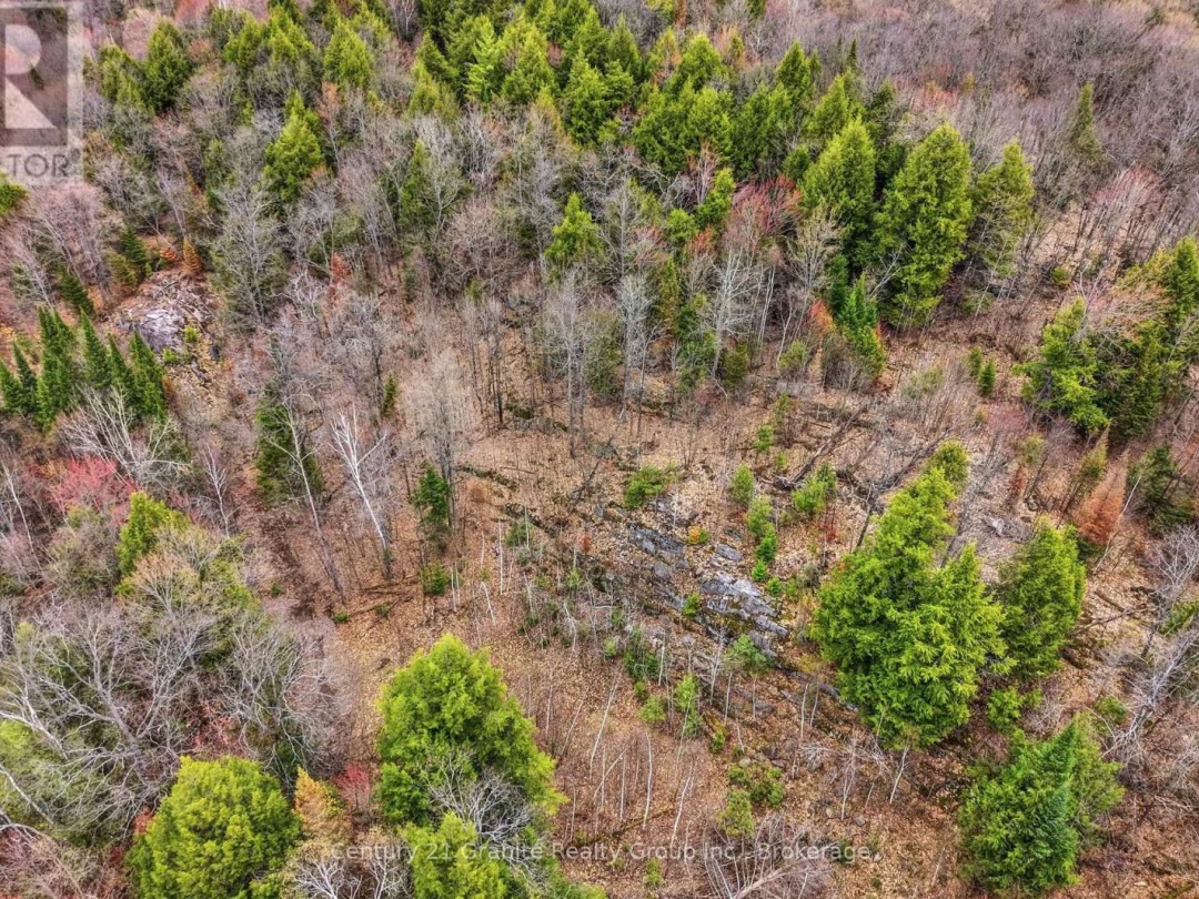 1314 HUNTER CREEK ROAD, Minden Hills (Lutterworth)