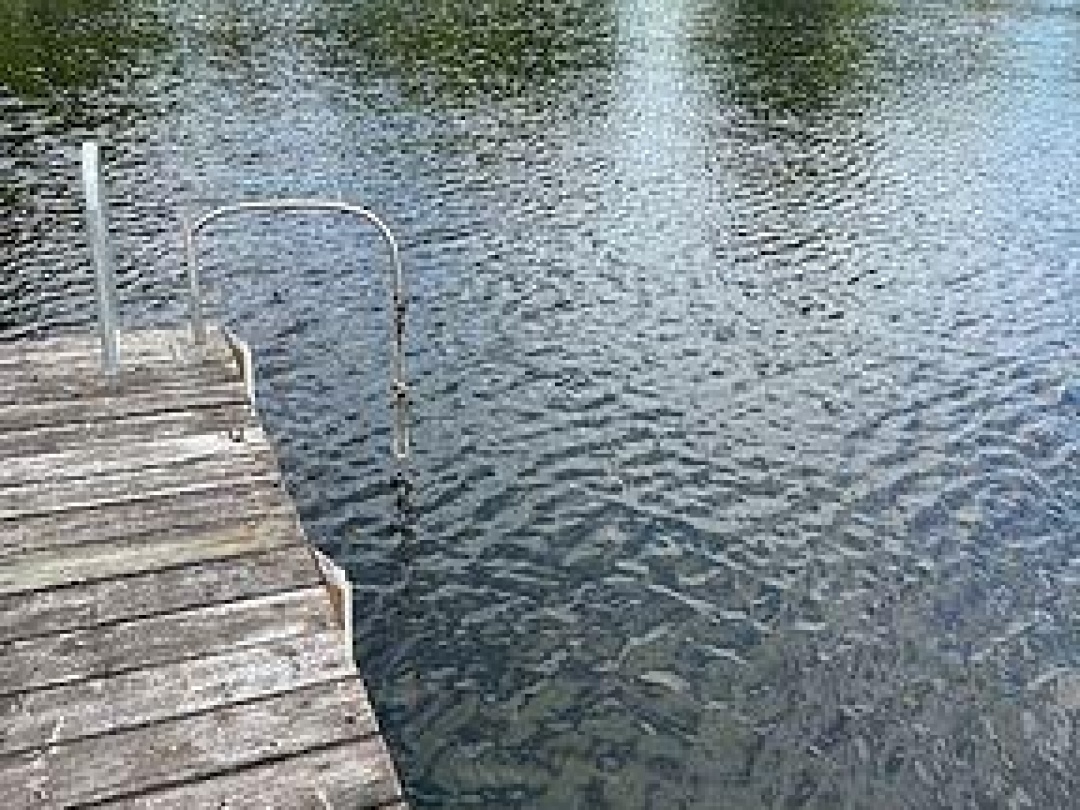 1981 HORSESHOE LAKE ROAD, Horseshoe Lake