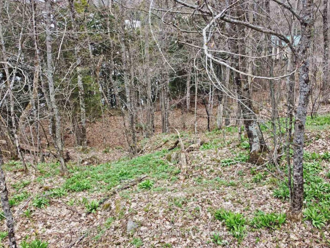 LOT 1 SHIELDS DRIVE, Horseshoe Lake