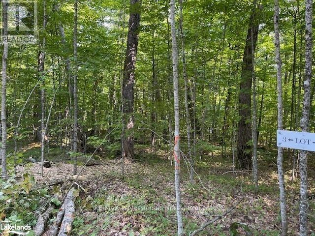 1448-3 WEST OXBOW LAKE ROAD, Oxbow Lake