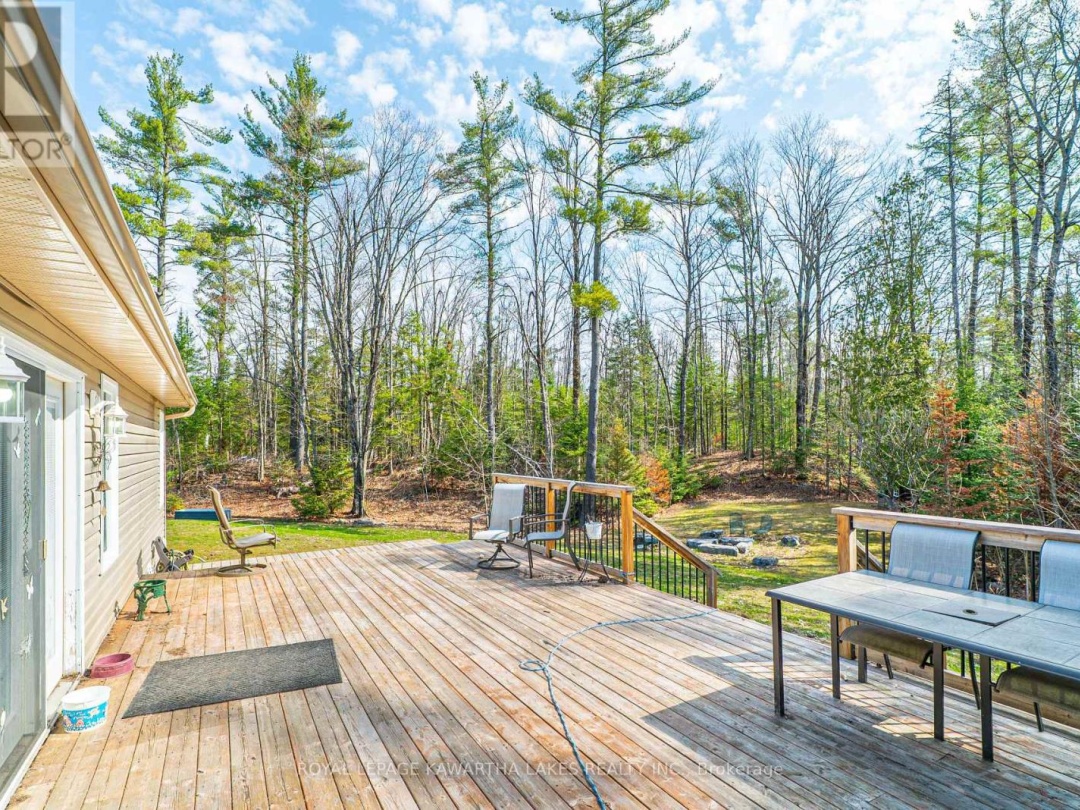 914 COUNTY RD 49, Trent Lakes
