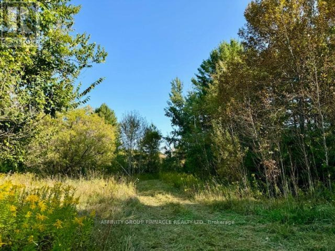 0 35 HIGHWAY, Kawartha Lakes (Laxton/Digby/Longford)