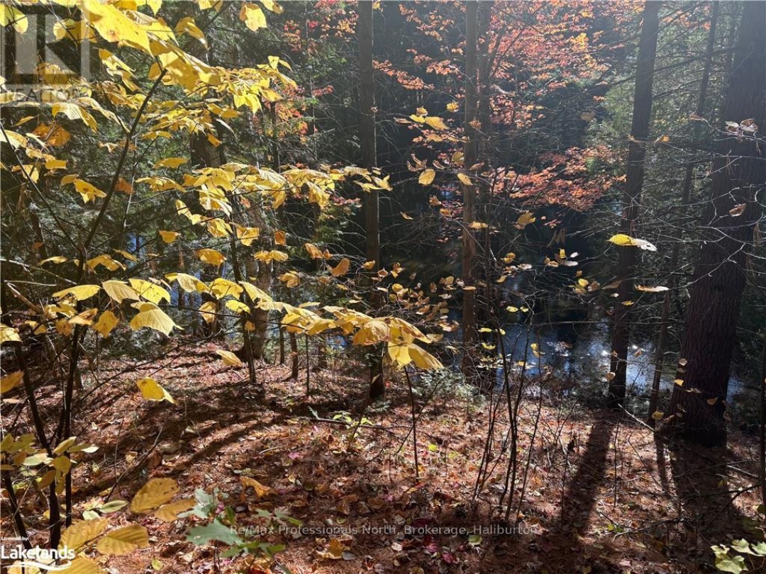 1071 HAWK VALLEY ROAD, Kennisis River