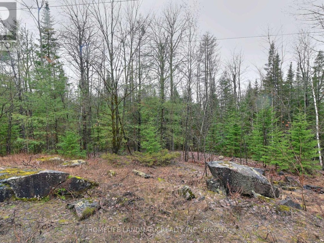 26-28 CHISHOLM TRAIL, Kawartha Lakes (Dalton)
