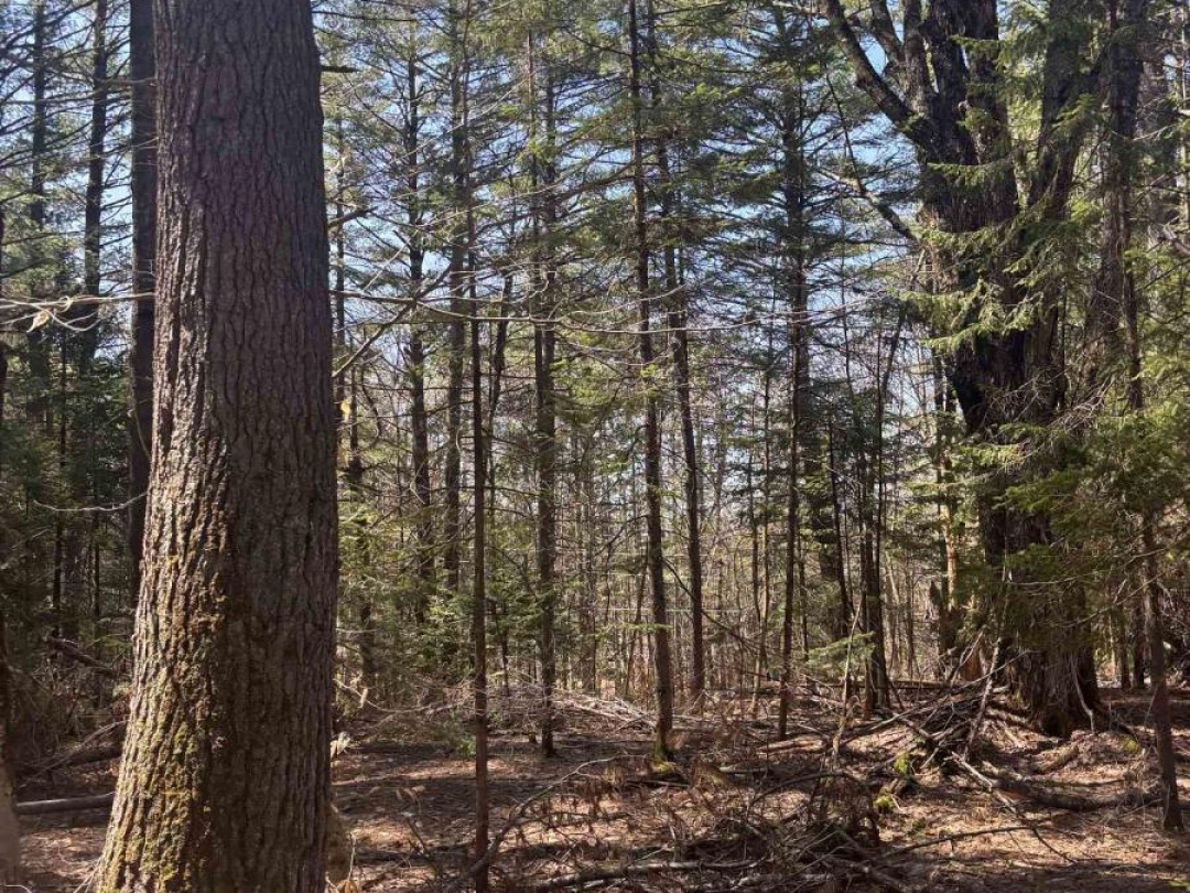 0 KIRKPATRICK LANE, Bracebridge (Draper)