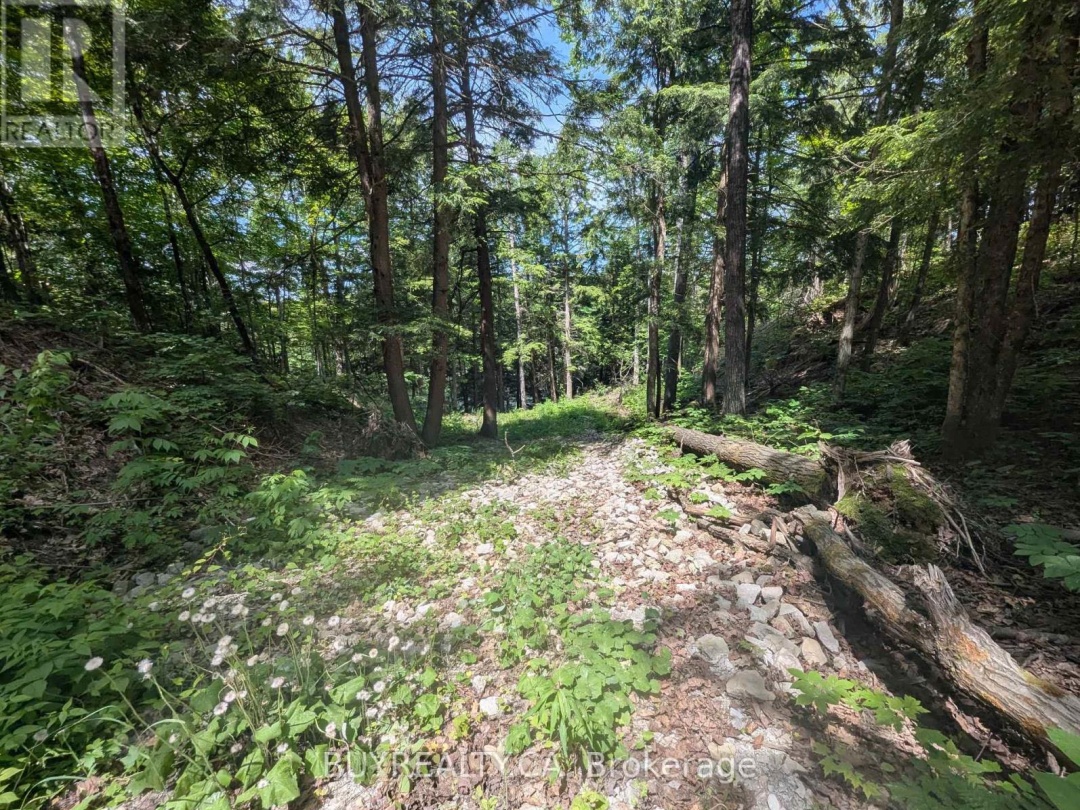 2318 SHERWOOD FOREST LANE, Severn River
