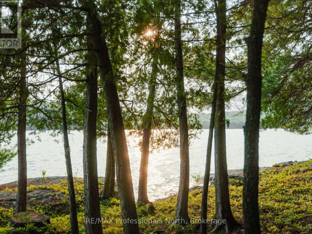 11405 DRAG LAKE EAST SHORE, 